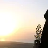 userva9h1quzjo