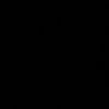 il.li31