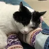 jennie_lee78