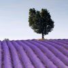 usergon4d55rtp