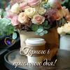 masha.cat._legend