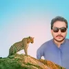 tofeeq798