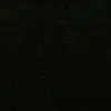 _daloy2