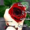 user4378603900520