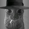 mr_giov