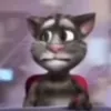 vikkonkkj