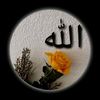 khaled_mn99