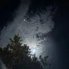 photobeautiful7