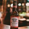 budwiserton