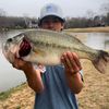 fishn_shi