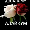 user73672308088538