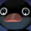 onlynootnoot