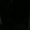froggy0690