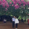 huy_pro2022