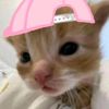 bubblyraaaa
