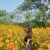 thuynguyen11222