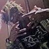 natillas_55