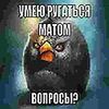 xomak_344