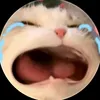 phatdelzaiiii