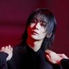 illleap_n