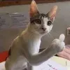 nguuuuu030