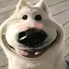 hhoanig