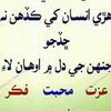 waseemalijagsi0