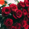 ___cutex_nopur___05