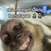 maulana10.2