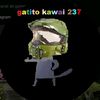 gatitokawai237