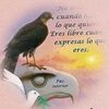 fabiansalitas