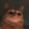 spxrrxw