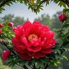 mukhtarhussain5692gmail0