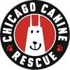 chicagocaninerescue