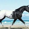 user121040013963708