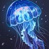 xxi_love_moon_jellyxx
