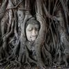 root_source1