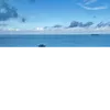 vunguyenphong8