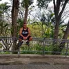 cesargomes452