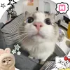 gia.han58662