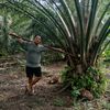 petani_muda171