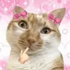 thank_phuongw