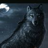 blackwolf_8505