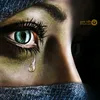 zm.kah