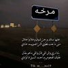 user8446351217988