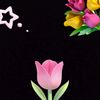 lop.you_semua