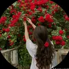 userzow2ad42bc0