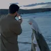 non_8.4