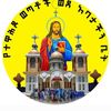 tarekengshimels