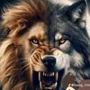 mosdfi